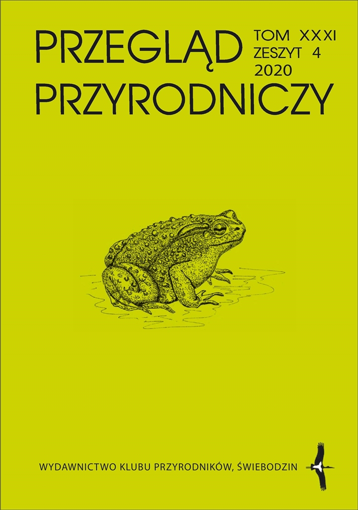 PP nr 4 2020 okladka